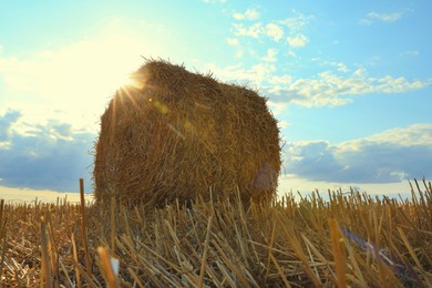 Agricultural field with hay bale, low angle view