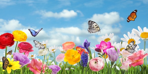 Many beautiful spring flowers outdoors on sunny day, banner design 