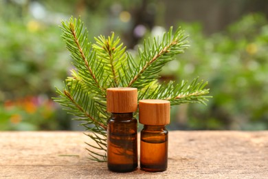 Bottles of pine essential oil and conifer tree branches on wooden table, closeup