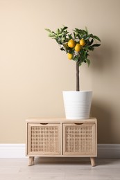 Idea for minimalist interior design. Small potted lemon tree with fruits on wooden table near beige wall indoors