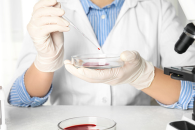 Scientist taking blood sample from Petri dish with pipette in laboratory, closeup. Virus research