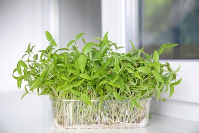 Mung bean sprouts in plastic container indoors