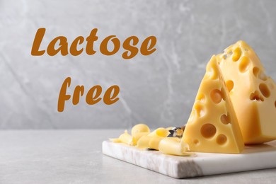 Image of Tasty lactose free cheese on light table