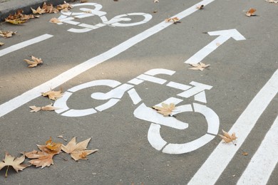 Two way bicycle lane with white signs on asphalt
