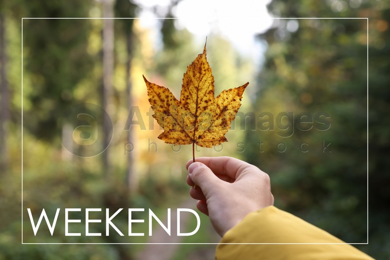 Happy Weekend. Woman holding beautiful autumn leaf near forest, closeup