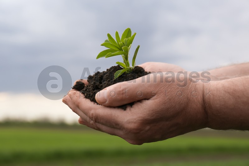 Man holding pile of soil with seedling outdoors, closeup