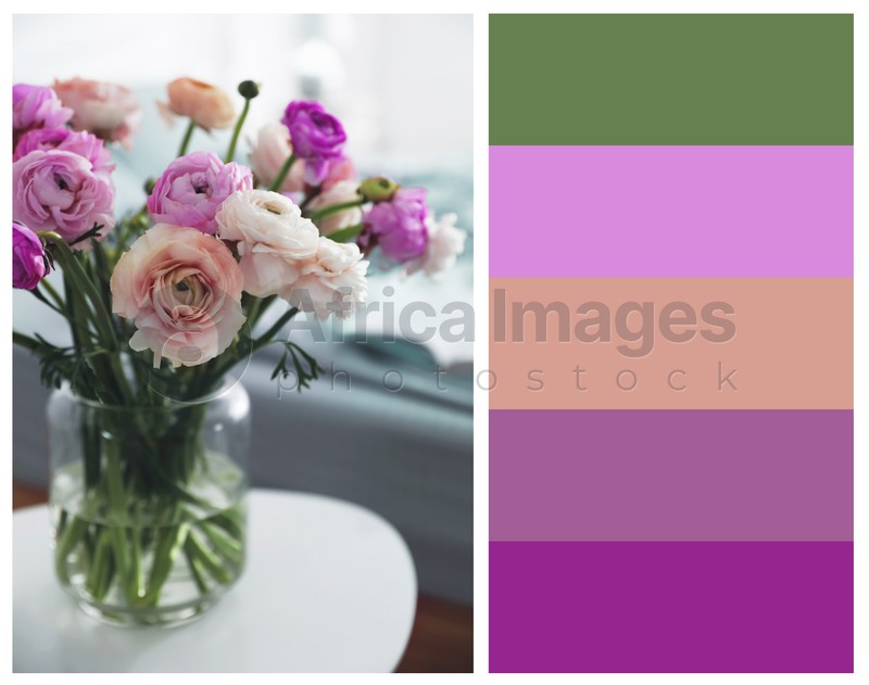 Color palette appropriate to photo of beautiful ranunculuses on table in room