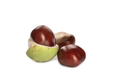 Photo of Horse chestnuts with pod isolated on white