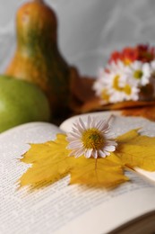 Photo of Book with autumn leaf and chamomile flower as bookmark, closeup. Space for text