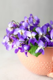 Beautiful wood violets in cup on light table, closeup. Spring flowers