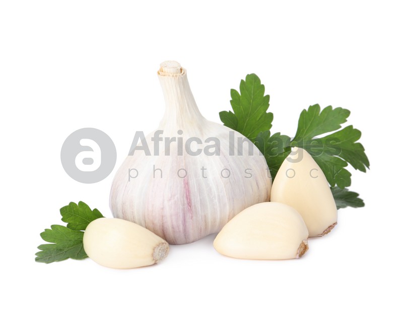 Fresh garlic bulb and cloves with parsley isolated on white. Organic food