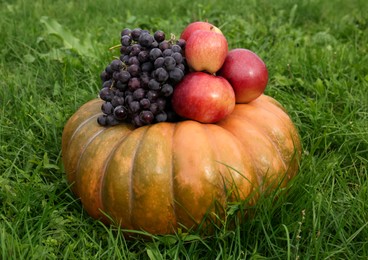 Ripe pumpkin, grapes and apples on green grass. Autumn harvest
