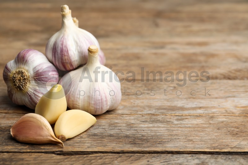 Fresh organic garlic on wooden table. Space for text
