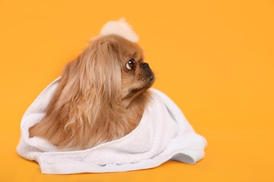 Photo of Cute Pekingese dog with towel and shampoo bubbles on yellow background, space for text. Pet hygiene