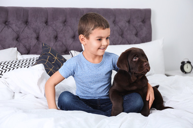 Funny puppy and little boy on bed at home. Friendly dog