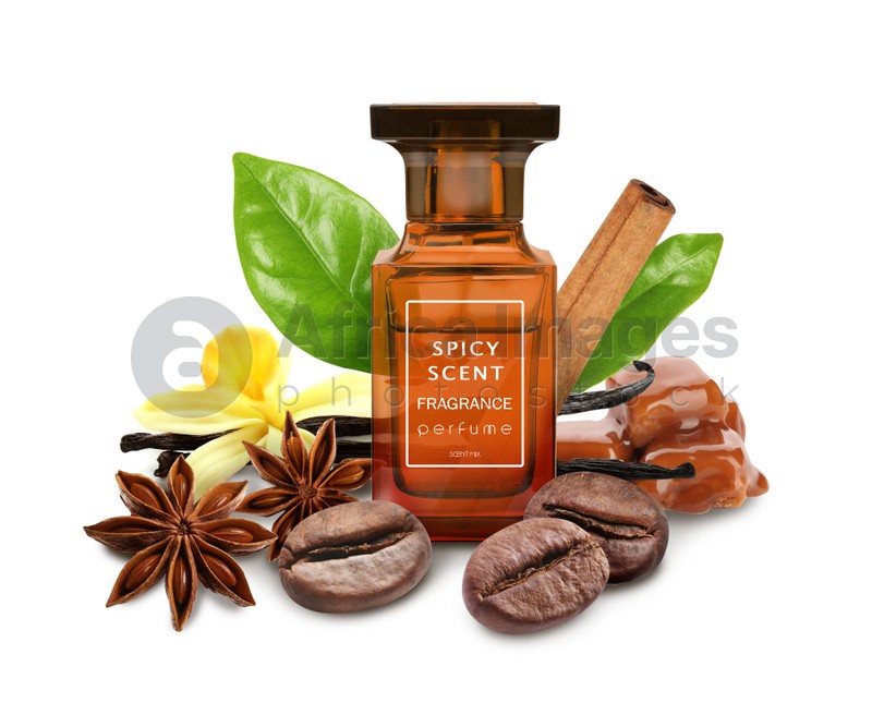 Image of Bottle of perfume and different spices on white background