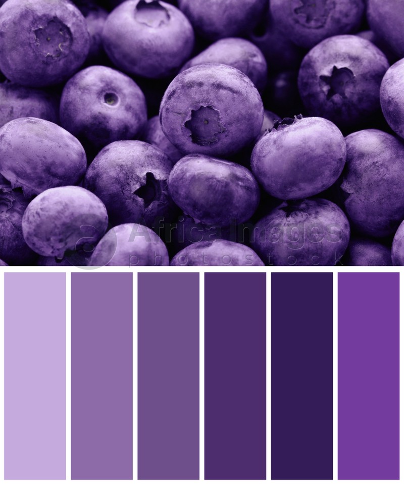 Color palette appropriate to photo of tasty fresh ripe blueberries as background, closeup