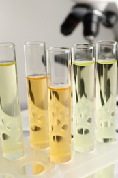 Tubes with urine samples for analysis in laboratory, closeup