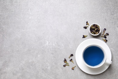 Photo of Organic blue Anchan in cup on light grey table, flat lay with space for text. Herbal tea