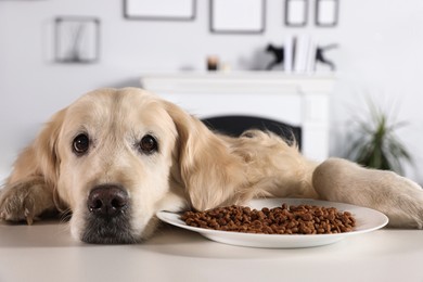 Cute retriever lying at white table near bowl of food indoors
