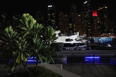 Photo of DUBAI, UNITED ARAB EMIRATES - NOVEMBER 03, 2018: Exotic plant and blurred night cityscape on background