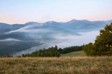 Amazing view of beautiful mountain landscape covered with fog