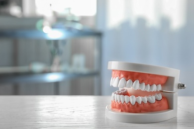 Educational model of oral cavity on table in clinic, space for text. Professional dentist