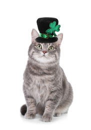Cute gray tabby cat with leprechaun hat on white background. St. Patrick's Day