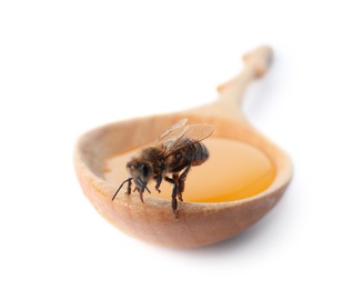 Wooden spoon with honey and bee on white background, closeup