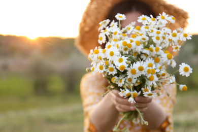 Woman holding beautiful chamomile bouquet outdoors, closeup