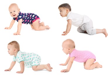 Collage with photos cute little babies crawling on white background