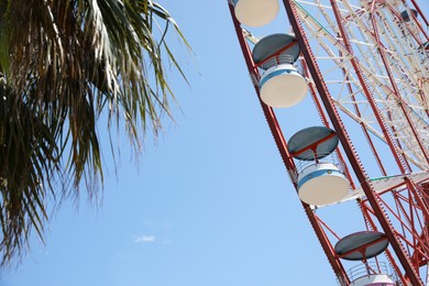 Beautiful large Ferris wheel and palm against blue sky, closeup