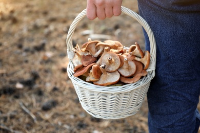 Woman holding wicker basket with fresh wild mushrooms in forest, closeup