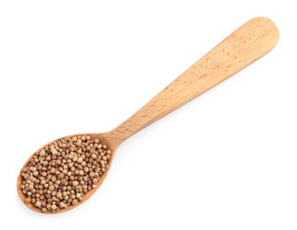 Photo of Dried coriander seeds with wooden spoon on white background, top view