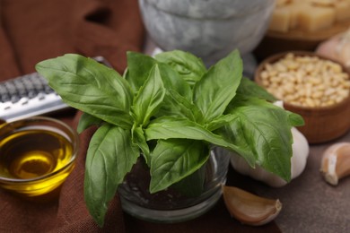 Photo of Different ingredients for cooking tasty pesto sauce on table, closeup