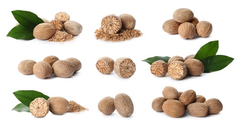 Set with nutmeg seeds on white background. Banner design