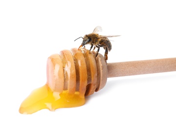 Wooden dipper with honey and bee on white background