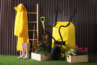 Photo of Wheelbarrow, blooming plants, gardening tools and accessories on green grass near wood slat wall