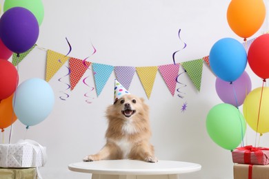 Cute dog wearing party hat at table in room decorated for birthday celebration