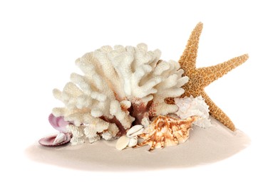 Beautiful exotic sea coral, shells and sand on white background