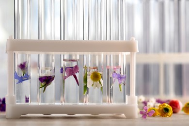 Test tubes with different flowers on wooden table, closeup. Essential oil extraction