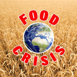 Global food crisis concept. Wheat field and illustration of Earth