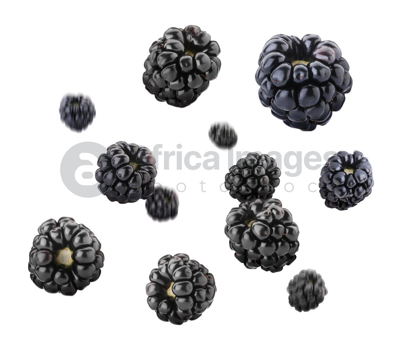 Delicious ripe blackberries flying on white background, closeup