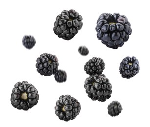 Delicious ripe blackberries flying on white background, closeup