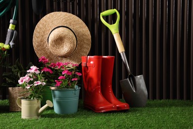 Beautiful plants, gardening tools and accessories on green grass near wood slat wall