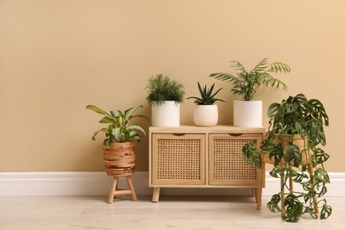 Photo of Different beautiful houseplants near beige wall indoors. Interior design