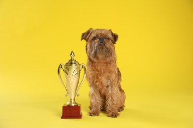 Cute Brussels Griffon dog with champion trophy on yellow background
