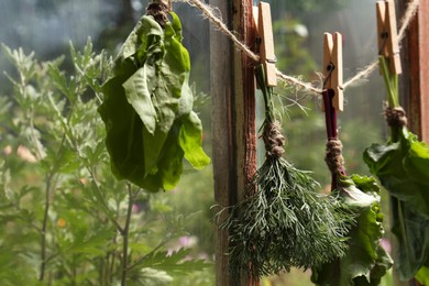 Photo of Bunches of fresh green herbs hanging on twine near window indoors