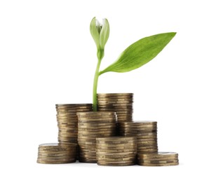 Photo of Stacks of coins and green plant on white background. Prosperous business