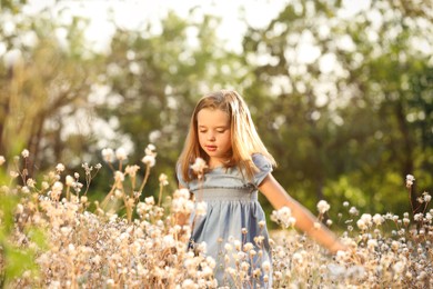 Cute little girl outdoors on sunny day. Child spending time in nature